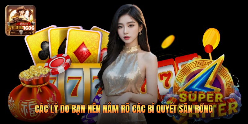 Các lý do bạn nên nắm rõ các bí quyết săn rồng