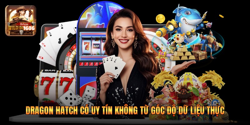 Dragon Hatch Có Uy Tín Không Từ Góc Độ Dữ Liệu Thực