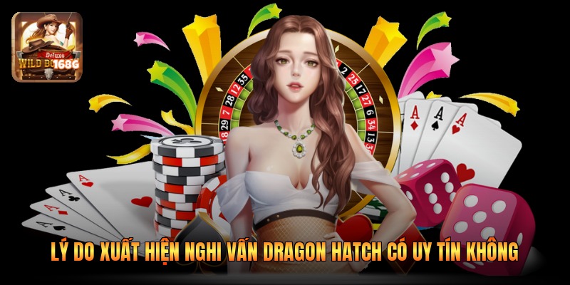 Lý do xuất hiện nghi vấn Dragon Hatch có uy tín không