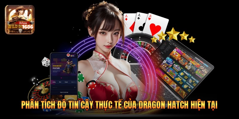 Phân tích độ tin cậy thực tế của Dragon Hatch hiện tại