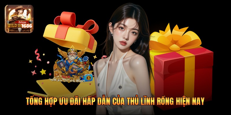 Tổng hợp ưu đãi hấp dẫn của thủ lĩnh rồng hiện nay