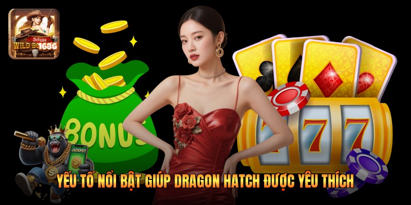 Yếu tố nổi bật giúp Dragon Hatch được yêu thích